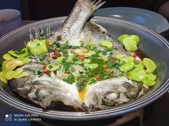 豆瓣葱香海鲈鱼-蜜桃餐厅·伴山(绿宝广场店)