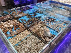 -大连湾旭日·家宴·海肠捞饭(马栏广场店)
