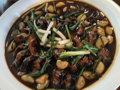 -小春农家乐