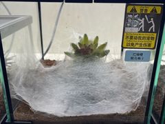 -宝鸡东道花鸟鱼虫市场(吉利花园商场店)