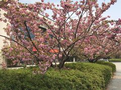 -江南大学(蠡湖校区)