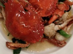 -上海明天广场JW万豪酒店