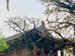 -华清宫景区