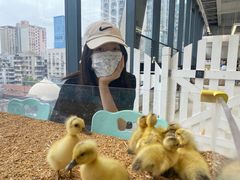 -怪兽屋·羊驼·猫咖·狗咖(俊华广场店)