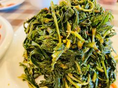 苦苦菜-迎宾楼(解放西街店)