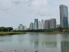 -万绿园