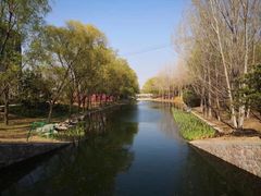 -大望京公园