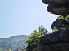 -梭布垭石林景区