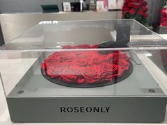-ROSEONLY诺誓(广州K11店)