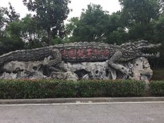 -中国扬子鳄村