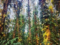 -华南国家植物园-售票处