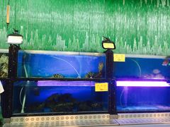 水产区-万宝海鲜舫(劳动公园店)