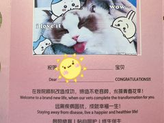 -美联众合动物医院·24h转诊中心