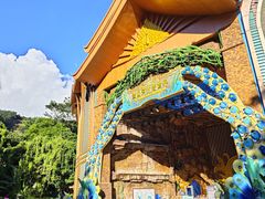 -西双版纳原始森林公园