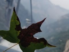 -少华山国家森林公园