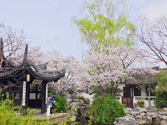 -巡塘古镇