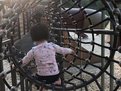 -枫香湖儿童公园