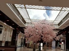 -添赐温泉馆(上南路店)