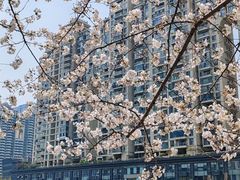 -西北湖绿化广场