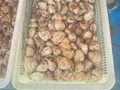 -老太太海鲜城(森林公园任家台店)