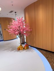 -海峡医疗美容医院