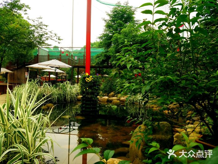 光明蝶谷飞鸟乐园图片