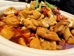 -川大刘肥肠鸡(北国店)