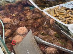 -旺角小渔村·海肠捞饭开创者(二马路店)