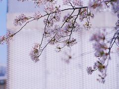 -龙美术馆(西岸馆)