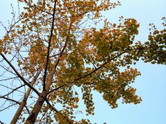 -白鹭湾湿地公园