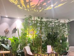 -施奈儿.洗头頭療.按摩SPA.采耳(上梅林店)