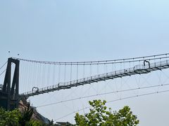 空中玻璃走廊-西霞口神雕山野生动物世界