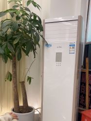 -妍理·植物养发