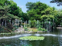 -叶家花园
