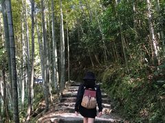 -千泷沟大瀑布旅游区