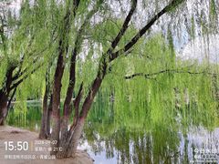 -青城公园