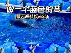 -重庆欢乐海底世界