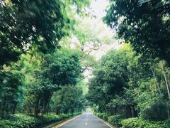 -南京东郊国宾馆