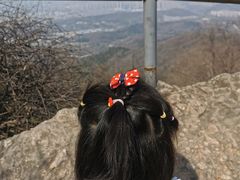-紫金山山顶公园