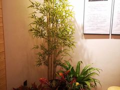 -十二舍·湯物素煮(江泰潤政店)