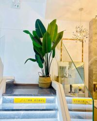 -FUMEIHUI·科技美肤·美体SPA