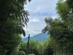-仙霞关景区