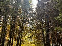 -溱湖国家湿地公园