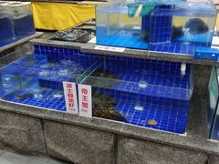 水产区-乔家小院•本地小海鲜•非遗驴肉(万年泉路店)