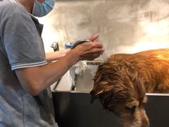 -PETKIT 小佩宠物·低压洗护·美容·寄养(安远店)