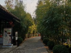 -崇阳三特浪口温泉