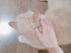 -Double cafe