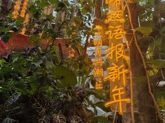 -正佳雨林生态植物园