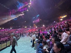 -广州长隆国际大马戏