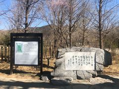 -红楼梦邮局